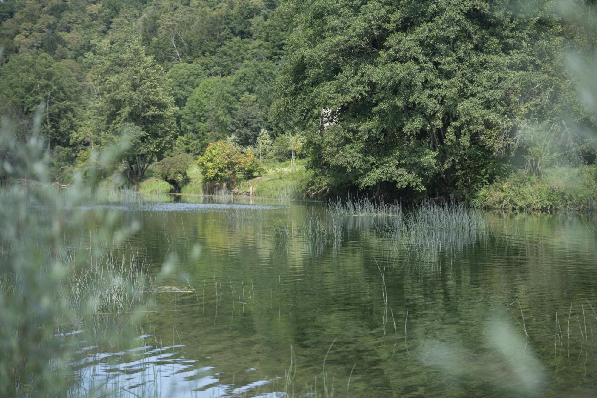 Kuca Za Odmor Casa Huerta Villa Frketic Selo Buitenkant foto